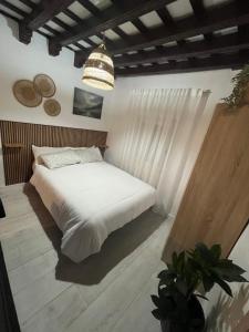 Apartamento Jerez Centro San Miguel