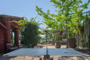 Villas Le Mas Elaia, votre havre familial avec piscine privee : photos des chambres