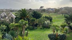 Villas VILLA TY EDEN - standing- dans JARDIN EXOTIQUE prive, PLAGE a 200m : photos des chambres