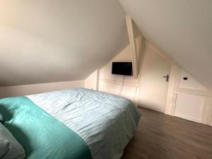 Appartements Le Duplex de Villeneuve : photos des chambres
