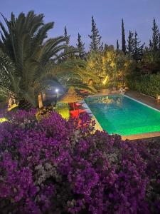 Magnifique villa piscine chauffée