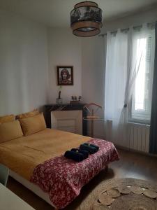 Logement COSY proche centre-ville - WiFi