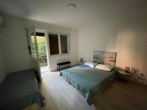 Apartment Mijuskovic