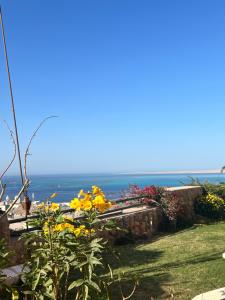 Studio sea view