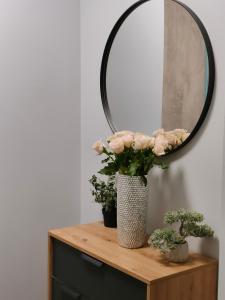 Pure Apartments VIP 2