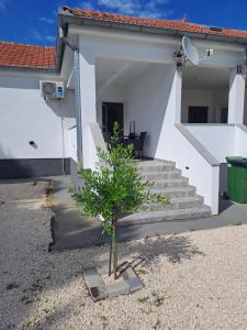 Apartmani Frane