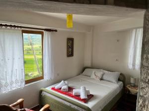 Stone House Kleopatra