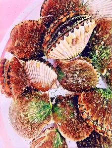 Stilted 2BR canal home, full kitchen, yard, pets!