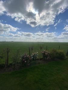 Geniet van de rust en de ruimte