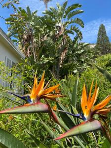 Petite Villa Eze Bord de Mer