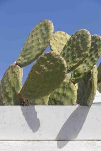 Charming townhouse Naxxar - Malta