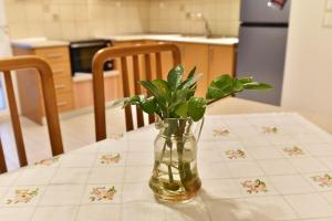 KAVALA The Blue City