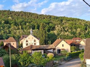 Maisons de vacances Maison 20- COLMAR Jardin Calme Chevaux Vue : photos des chambres