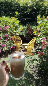 Paraiso Hortensia Ecolodge