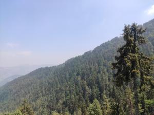 Nature Heaven Homestay