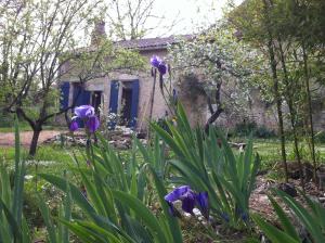 Appartements Iris Meadow Cottage : photos des chambres