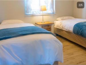 Refresh at 50 Whale Rock