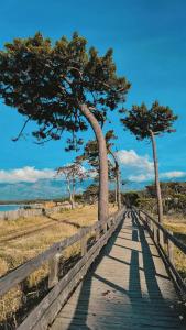 Appartements Studio proche de la mer : photos des chambres