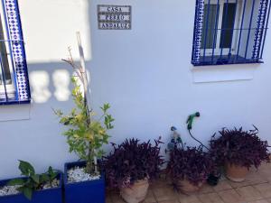 Casa Perro Andaluz