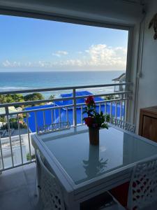 Frangipanier T2 vue sur mer