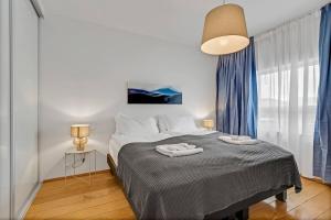 Rooftop Balcony -AMZ view - LRG 2 BR -Free Parking