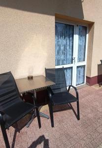 Delfin -przy plaży, widok na morze