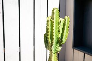 Maisons de vacances Maison avec patio et jacuzzi : photos des chambres