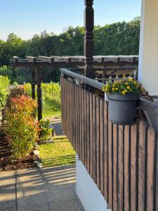 Das Sonnenhut Kellerstöckl am Csaterberg