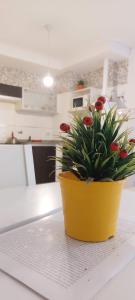 Gala Temporarios Dptos Rosario Centro