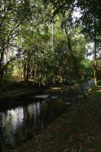Chalé Caminhos do Salto Ventoso