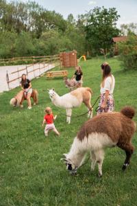 Cozy wood hut on the farm