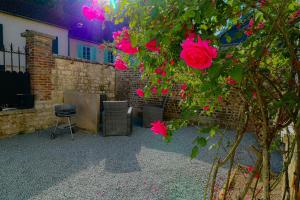 Appartements La promenade de Vernon - Giverny : Appartement 1 Chambre