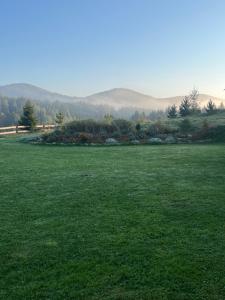 Омріяні Карпати