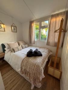 Welsh Bayview Retreat 2-Bed Caravan & 2-Bed Chalet at Clarach Bay Holiday Village