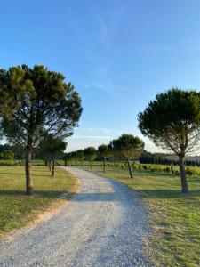 Tentes de luxe Echappee Vigneronne : photos des chambres