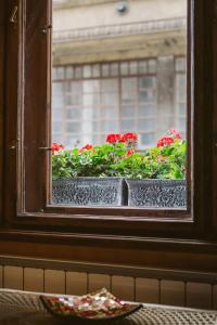 Vaci Bliss by Downtown with FREE PARKING