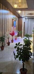 Skyline Stay Lodge Hansi