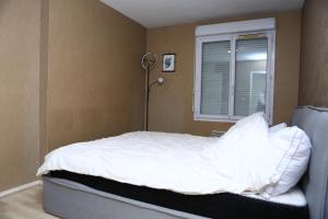 Appartement T2 Confortable à Lyon