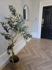 Luxury central apartment w 3 beds + 24hr check-in