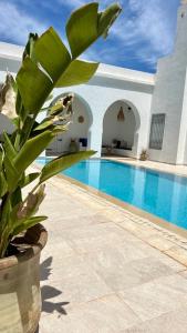 Villa Le Domaine Djerba Piscine Chauffée sans vis à vis