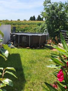 Villas VILLA avec piscine clim jolie vue Camargue : photos des chambres