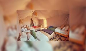 Sahara Luxe Camp