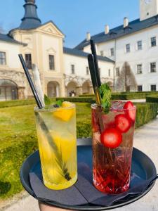 Hotel Zámek Letohrad