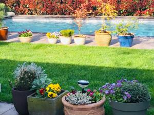 B &B Yuupke Maasbree Noord-Limburg Venlo Roermond