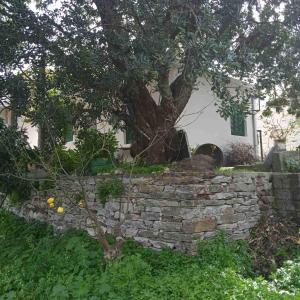 Ikarian Family Cottage, Ikaria Droutsoulas