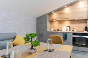 Urban Five #5 - Stylish One-bedroom apartments with Kitchen & Parking