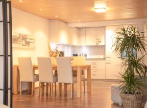 apartment2lakes Matten bei Interlaken