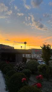 Deyanira Suite, Aeropuerto, IFEMA