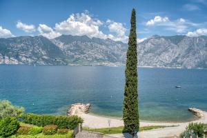Villa Andreis