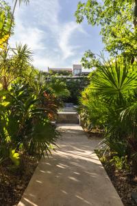 Kan Kin studio beach and shuttle